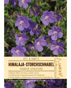 Sortenschild, Geranium himalayense