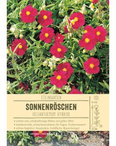 Sortenschild, Helianthemum Hybride