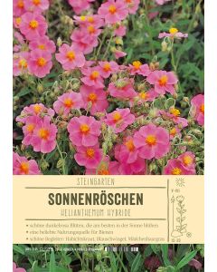 Sortenschild, Helianthemum Hybride