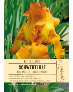 Sortenschild, Iris Barbata-Elatior-Hybride