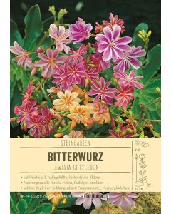 Sortenschild, Lewisia cotyledon