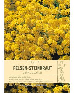 Sortenschild, Aurinia saxatilis