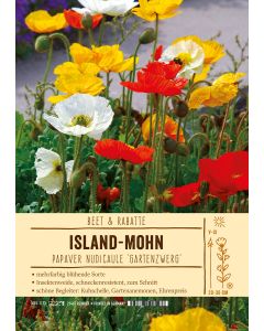 Sortenschild, Papaver nudic. 'Gartenzwerg'