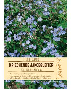 Sortenschild, Polemonium reptans