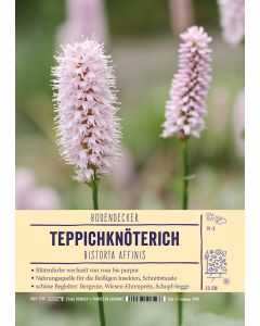 Sortenschild, Bistorta affinis