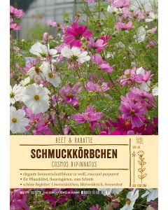 Sortenschild, Cosmos bipinnatus