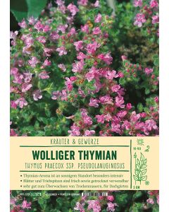 Sortenschild, A5, Thymus praecox ssp. pseudolanuginosus, VPE=1 Stück