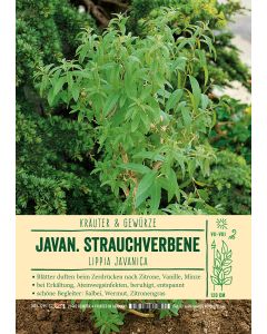 Sortenschild, Lippia javanica