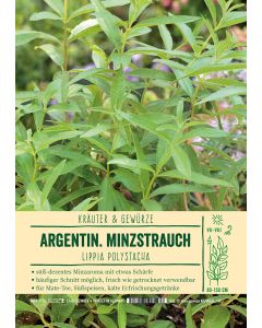 Sortenschild, Lippia polystacha