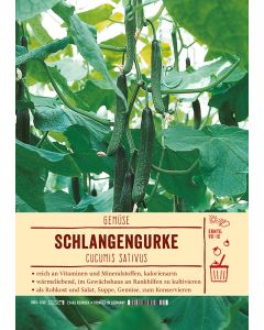 Sortenschild, Cucumis sativus