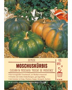 Sortenschild, Cucurbita 'Muscat de Provence'