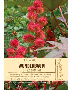 Sortenschild, Ricinus communis