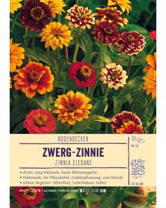 Sortenschild, Zinnia elegans