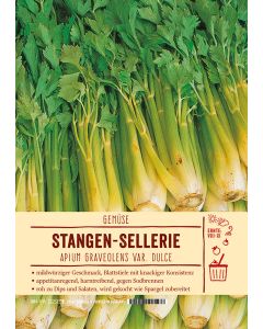 Sortenschild, Apium graveolens var. dulce