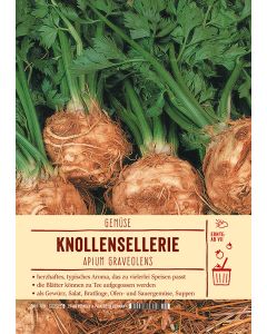 Sortenschild, Apium graveolens