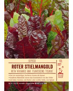 Sortenschild, Beta vulgaris flav. 'Feurio'