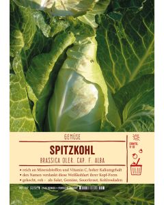 Sortenschild, Brassica oler. cap. f. alba