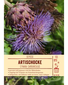 Sortenschild, Cynara cardunculus