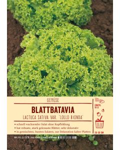 Sortenschild, Lactuca sat. 'Lollo Bionda'