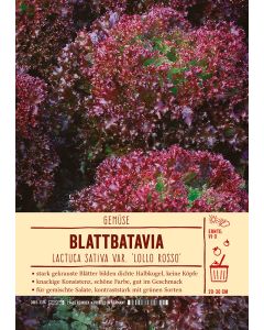 Sortenschild, Lactuca sativa 'Lollo Rosso'