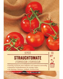 Sortenschild, Lycopersicon lycopersicum