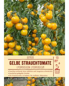 Sortenschild, Lycopersicon lycopersicum