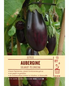 Sortenschild, Solanum melongena