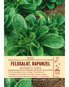 Sortenschild, Valerianella locusta