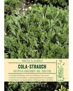 Sortenschild, Artemisia abrot. var. maritima