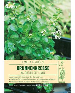 Sortenschild, Nasturtium officinale