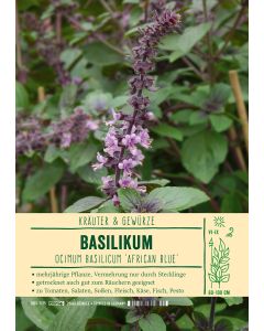 Sortenschild, Ocimum basil. 'African Blue'