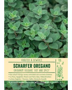 Sortenschild, Origanum vulg. 'Hot and Spicy'
