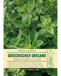 Sortenschild, Origanum vulg. ssp. hirtum