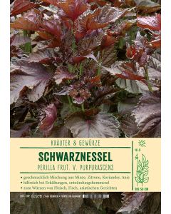 Sortenschild, Perilla frutescens