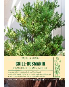 Sortenschild, Rosmarinus off. 'Barbecue'