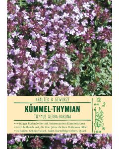 Sortenschild, Thymus herba-barona