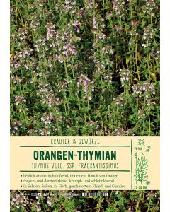 Sortenschild, Thymus v. spp. fragrantissimus