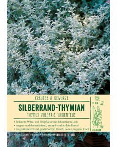 Sortenschild, Thymus vulg. 'Argenteus'