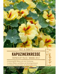 Sortenschild, Tropaeolum m. 'Banana Split'