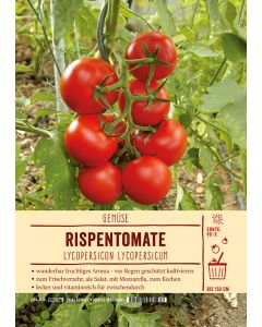 Sortenschild, Lycopersicon