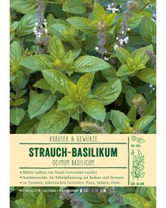 Sortenschild, Ocimum basilicum