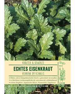 Sortenschild, Verbena officinalis