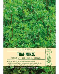 Sortenschild, Mentha sp. 'Thai Bai Saranae'