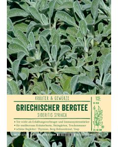 Sortenschild, Sideritis syriaca