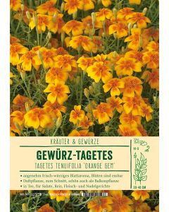 Sortenschild, Tagetes tenuif. 'Orange Gem'