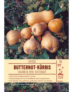 Sortenschild, Cucurbita pepo 'Butternut'