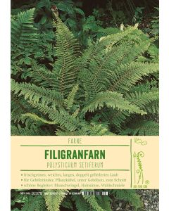 Sortenschild, Polystichum setiferum