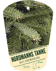Abies nordmanniana, Bildhängeetikett VS