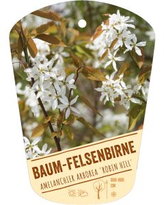 Amelanchier arborea 'Robin Hill', Bildhängeetikett VS