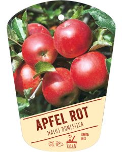 Malus domestica, Bildhängeetikett VS